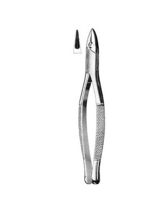 Tooth Extracting Forceps S.S. Ammerican Pattern