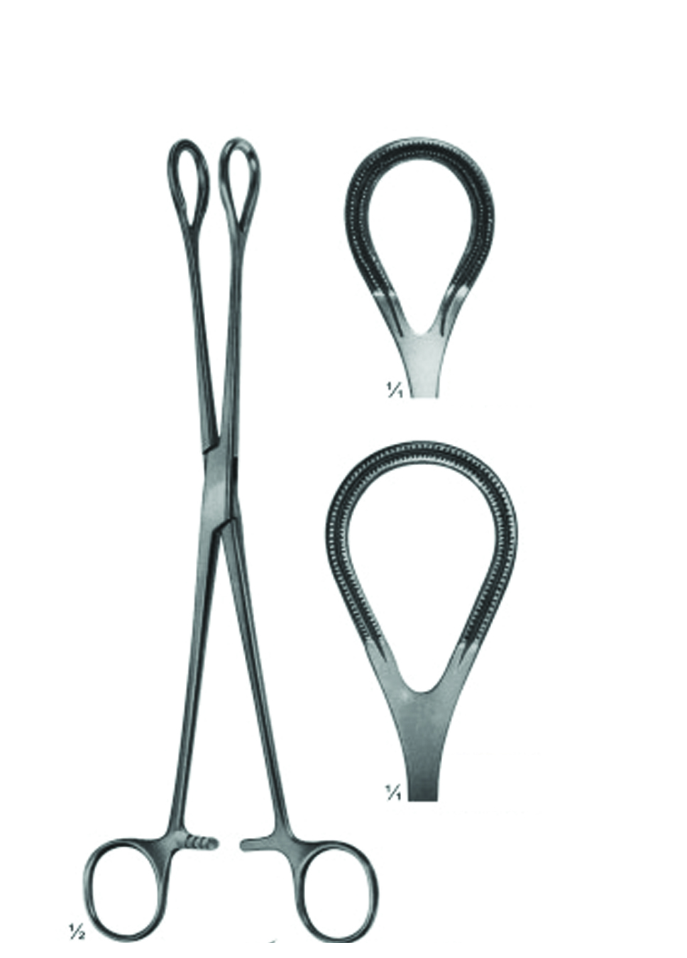 Gall Bladder Forceps and Gall Duct Scissors
