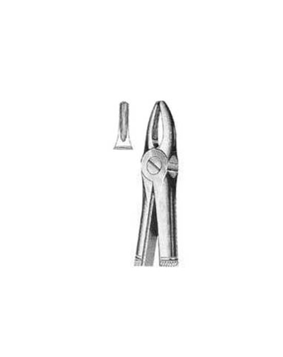 Tooth Extracting Forceps s.s 