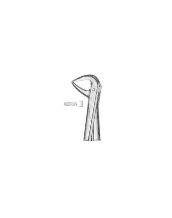 Tooth Extracting Forceps s.s English Pattern