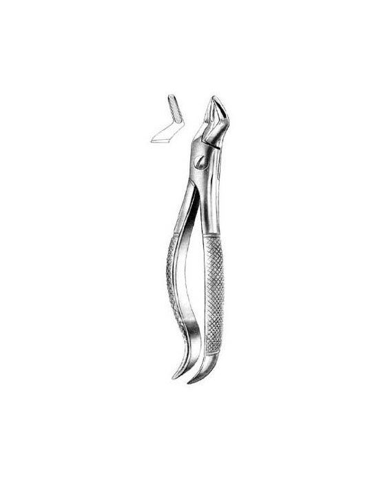 Tooth Extracting Forceps s.s English Pattern